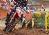 Vaidavas kauss 2014289