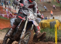 Vaidavas kauss 2014293