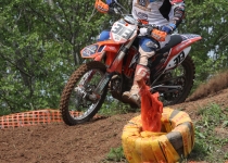 Vaidavas kauss 2014310