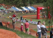 Vaidavas kauss 2014356