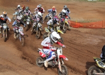 Vaidavas kauss 2014392