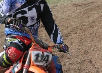 Vaidavas kauss 2014397