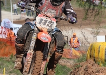 Vaidavas kauss 2014426