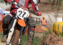 Vaidavas kauss 2014427