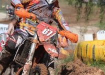 Vaidavas kauss 2014433