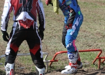 Vaidavas kauss 2014442