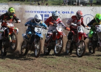 Vaidavas kauss 2014462