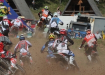 Vaidavas kauss 2014463