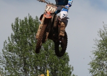 Vaidavas kauss 2014488