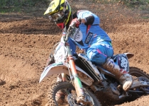 Vaidavas kauss 2014494