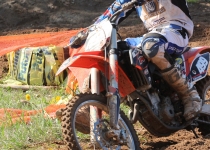 Vaidavas kauss 2014496