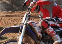 Vaidavas kauss 2014497