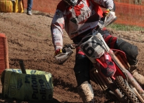 Vaidavas kauss 2014509