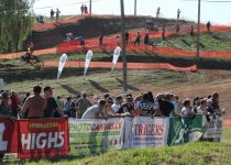 Vaidavas kauss 2014547