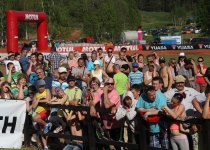 Vaidavas kauss 2014569