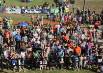 Vaidavas kauss 2014638