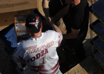 Vaidavas kauss 2014658