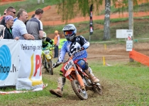 Vaidavas kauss 201430