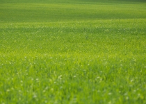 Vaidavas kauss 2016164