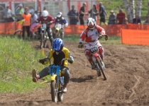 Zelta mopēds 201621