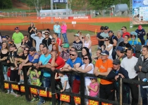 Zelta mopēds 2016111