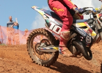 Vaidavas kauss 2016294