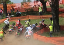 Vaidavas kauss 2016358