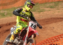 Vaidavas kauss 2016379