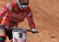 Vaidavas kauss 2016393