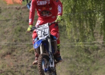 Vaidavas kauss 2016442