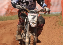 Vaidavas kauss 2016472