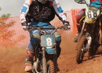 Vaidavas kauss 2016477