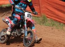 Vaidavas kauss 2016481