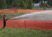 Vaidavas kauss 2016484