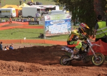 Vaidavas kauss 2016485