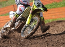 Vaidavas kauss 2016509