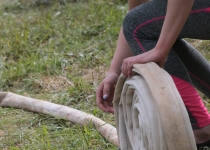 Vaidavas kauss 2016529