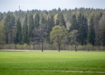 Vaidavas Kauss 2017 Jānis Pastars266