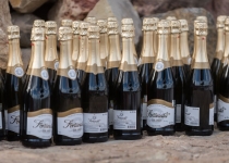 Vaidavas Kauss 2017 Agnis Melderis323