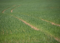 Vaidavas Kauss 2018 Jānis Pastars86