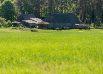 Vaidavas Kauss 2018 Jānis Pastars288