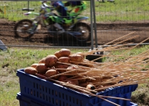 Vaidavas Kausa 2018 Valdis Paeglis35