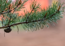 Vaidavas Kauss 2019 Agnis Melderis112